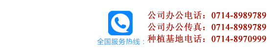 全國(guó)咨詢(xún)熱線(xiàn)：13716429984